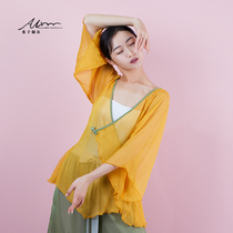 Xizijia classical dance costume top dance costume Body rhyme elegant gauze clothing Base training kung fu costume Chinese dance performance costume