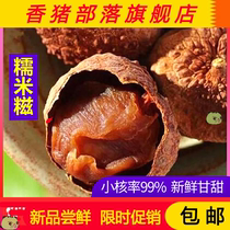 Glutinous rice dumplings Lychee dry core small meat thick 2020 new goods 500g small core Conghua premium rice