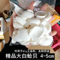 Handmade shell diy kindergarten handicraft class material package 2-5cm white shell perforated landscape decoration photo frame wind