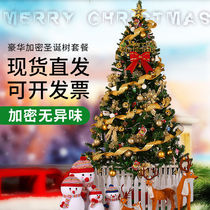 1 2 m 1 5 m 1 8 m 2 1 2 4 m Luxury encrypted home package Christmas decorations