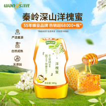 Wangs Acacia bee honey Natural pure honey taste childrens sweet Qinling squeeze bottle 305g pregnant women