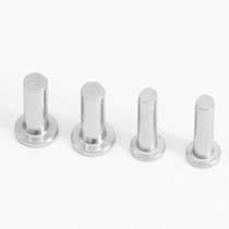 2020M2M2 5M3M4M5 stainless steel 304 flat head rivet GB109 tap type flat head solid rivet small