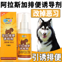 Alaska Puppy Toilet Inducers Dog Bowels to Prevent Chaotic Urine Guide to Toilet Targeted Defecation