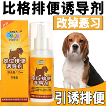 Big toilet inducers dog bowels to prevent a mess urinating guide training dogs on the toilet urinating on the spot