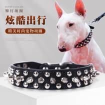 Dog Item Circle Bell Rivet Bullfight Bull anti-bite Bullfight Small Dog Midsize Dog Spiritin Dog Chain Sub Dog Necklace