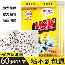 Jiaxin sticky fly paper household restaurant fly mosquito stickers super powerful fly and insect stickers fly stickers glue non-toxic fly trap board