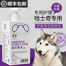 Hashige Pooch Body Wash of bath Bath Goods Suit Special Pet Killing Mites Bacteria Killing and Deodorising Puppies Cilanto