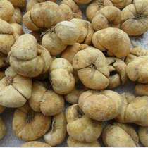 Chinese herbal medicine Zhe Fritillaria Zhebei Elephant Fritillaria Big Fritillaria Zhebei 500g 2 catties