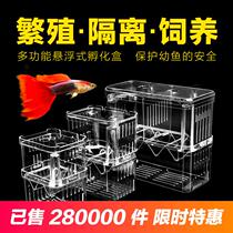 Adhesive hook juvenile fish oversized floating spawning tank tank tank fish tank isolation box dense net fighting fish fry feeding box guppies