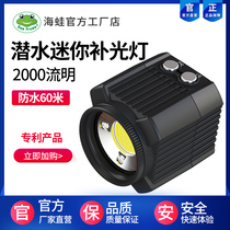 LED outdoor waterproof Mini diving Gopro underwater camera fill light light seaside portable waterproof light