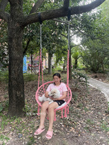 Outdoor courtyard swing folding hanging chair horizontal bar on the tree grape rack swinging yard indoor hanging basket outdoor yard