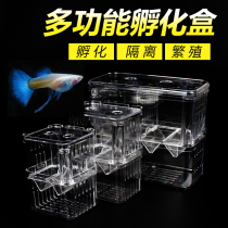 Guppy breeding box Fish tank isolation incubation box Tropical fish small fish special size isolation box Incubation spawning room