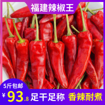 Spicy Fujian chili king Authentic Gutian Chaotian pepper Premium braised duck neck special dry pepper freshly caught pepper