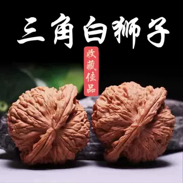 文玩核桃 三角白獅子 文玩核桃界的白狮子：一物一图三角闷尖狮子头手捻精品，收藏级艺术品
