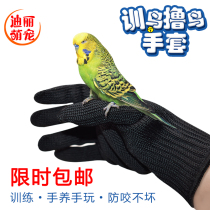 Parrot anti-bite gloves Pet bird catching flying gloves Parrot training bird wire gloves Bird accessories