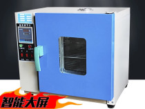 Medical constant temperature drying box CNC drying box electric blast drying instrument drying cabinet stainless steel drying box