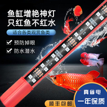 Waterproof fish tank Zengyan magic lamp three basic color red dragon fish koi Arhan parrot special led diving light not red water