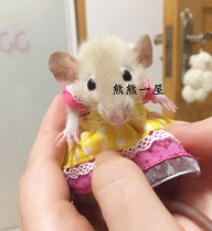 Three-line young hamster Flower Branch Mouse sweater spring summer autumn and winter clothes small pet hat neck scarf
