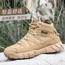 Outdoor tactical shoes non-slip wear-resistant hiking shoes training autumn and winter men's land boots light hiking shoes desert martin boots