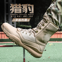 Desert Boots Light High Help Sports Boots Non-slip Outdoor Spring Autumn Combat Training Boots Breathable Mountaineering Shoes Military Fans Hiking Boots