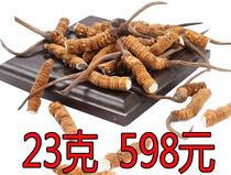 23 grams of self-use value big broken grass Cordyceps Cordyceps Tibet Nagqu Cordyceps