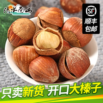 Northeast hazelnut fried cooked open Tieling Kaiyuan original hazelnut nuts 500g new fresh raw hazelnut fried goods