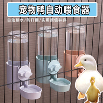 Automatic duck feeder quail Cole duck water feeder chick eating Basin drinking water bowl duckling pet goose