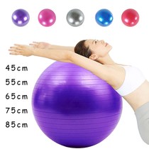 PVC Fitness Yoga Balance Ball Fitness Yoga Ball Home Gym Bola Pilates