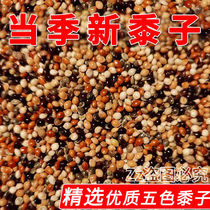 Seasons new high-quality five-color millet parrot feed bird food with shell millet tiger skin peony Xuanfeng bird grain pigeon food