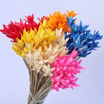 New product (Sayuri) Yunnan dried flower eternal flower material multi-color small Magnolia dried flower shooting props dried flower flower material