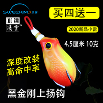 Water Brocade Sky Beats Black Thunder Frog Retrofit New Little Thunder Frog Black Fish Specializes In Luia Fake Bait Floating Water Afar