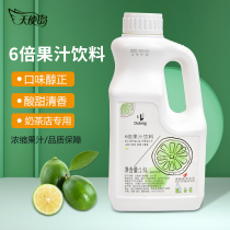 Shield Emperor 6 times kumquat lemon juice concentrate drink juice drink kumquat lemon concentrate 1 6L