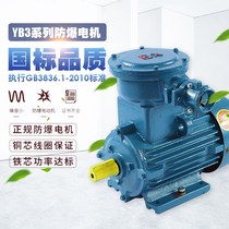 YB3 explosion-proof motor GB flameproof three-phase 380v copper wire Jiangsu New Vigorously energy-saving explosion-proof motor