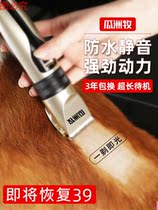 Teddy pet shaving machine hair pusher dog hair pusher electric clipper dog hair trimming scissors cat shaving machine