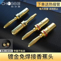 Choseal Choseal gold plated banana head audio cable plug Audiophile grade amplifier speaker connector welding-free