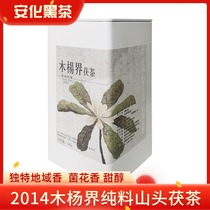 Chenlan selected Anhua black tea Hunan authentic hand building Wood Poplar High Mountain pure material golden flower Fu brick tea Yiyang Fu tea