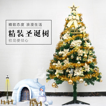 1.5m Christmas Tree Set Home 1.8m 2.1m 3m Encrypted Glow Large Christmas Ornament Ornaments