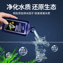 Aquatic fish drug diseases treatment tropical ornamental gold fish brocade carp Rotten Tail White Spots Disinfection of Mighty Water Quality