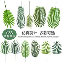 Emulated green loose tail sunflower leaf flower arrangement leaf wedding wedding decoration photo-prop mall scene placement of single false leaves