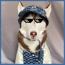 Network handsome guy come to the Tide brand baseball cap pet hat large autumn and winter dog head accessories golden hair husky Husky