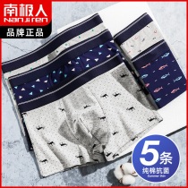  Antarctic pure cotton antibacterial underwear mens summer thin breathable four corners youth trend personality sports large size boxer shorts