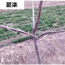 Fruit tree drawing styling device universal bending clip with bending device straightening branch agricultural bonsai garden Pruner