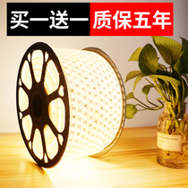 220V light with led three-color color changing household Line light living room ceiling neutral light strip super bright room outdoor waterproof