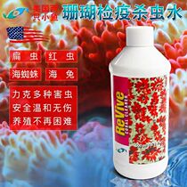 Two small fish in the United States insecticidal water coral quarantine insecticidal water RX coral tank quarantine water coral quarantine soft