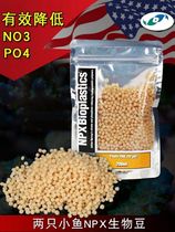  Two small fish NP beans biodegradable removal of NO3PO4 seawater Dutch beans cooking machine with sea tank NP beans
