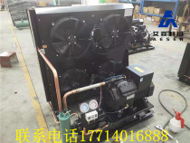 Cold storage semi-closed unit Shenyang Cucuron 15 horses 20 compressors Bizel freeze storage unit to Fukang