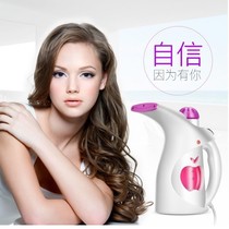 Kan Hong e-commerce firm household steam ironing machine portable handheld Adjustable gear integrated electric iron shake