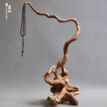 Tree roots as a whole carving room brush hanging jewelry display Parrot bird habitat knife stand