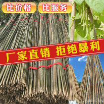 Small bamboo rod rack planting vegetable garden set up bean corner cucumber frame bamboo fence fence colorful flag pole thick Nan anti-corrosion bamboo pole decoration