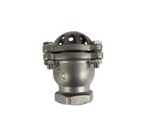  316 stainless steel threaded bottom valve H12W lifting check valve Water pump suction corrosion-resistant shower head 4 inch DN100